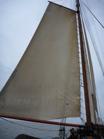2011 Zeilen038.jpg